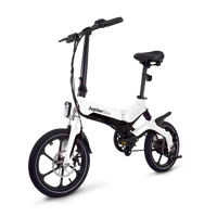 Discovery X5 Folding Electric Bike
