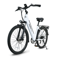 Cruise ST Electric Bicycle